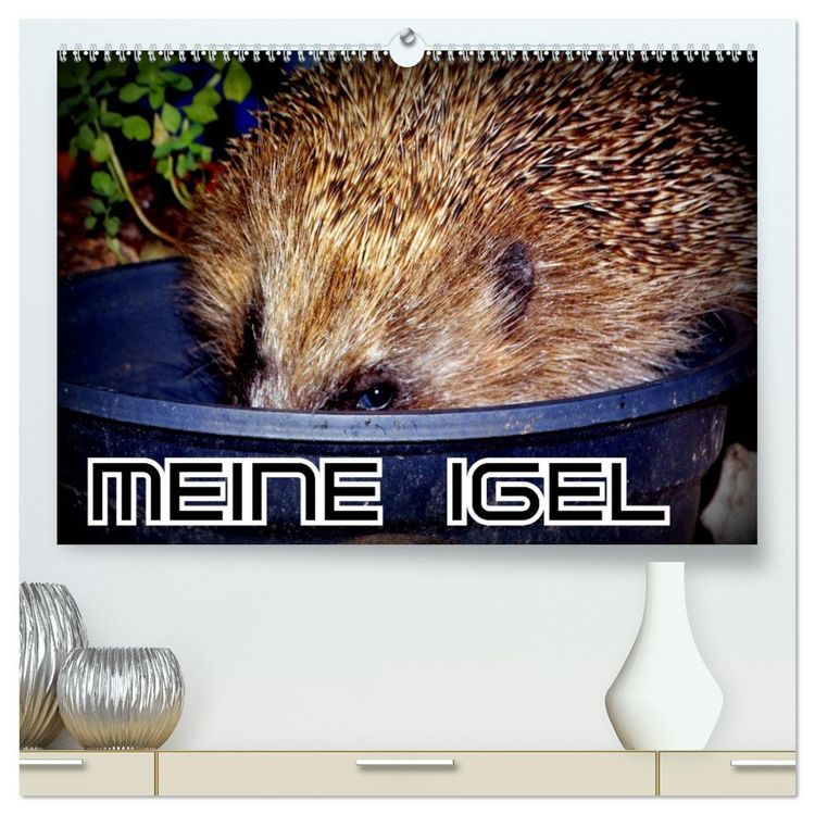 Produktbild: Meine Igel (hochwertiger Premium Wandkalender 2026 DIN A2 quer), Kunstdruck in Hochglanz