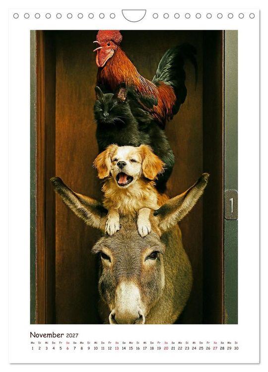 Produktbild: Wer f&auml;hrt denn da? Ein tierisches Paternoster Vergn&uuml;gen (Wandkalender 2027 DIN A4 hoch), CALVENDO Monatskalender