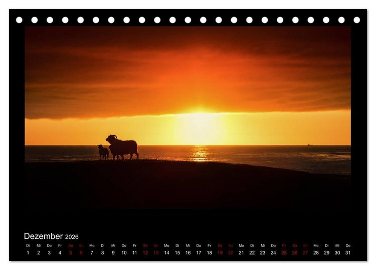 Produktbild: Island - Eine Reise in Bildern (Tischkalender 2026 DIN A5 quer), CALVENDO Monatskalender