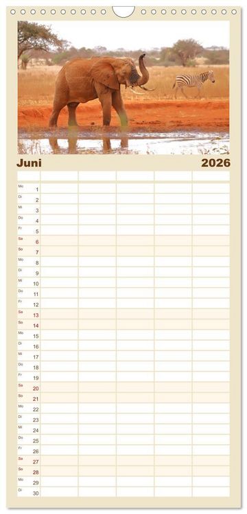 Produktbild: Familienplaner 2026 - Kenias wilde Elefanten mit 5 Spalten (Wandkalender, 21 x 45 cm) CALVENDO