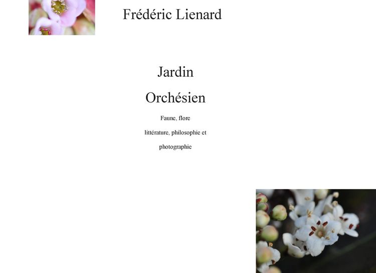 Produktbild: Jardin Orch&eacute;sien