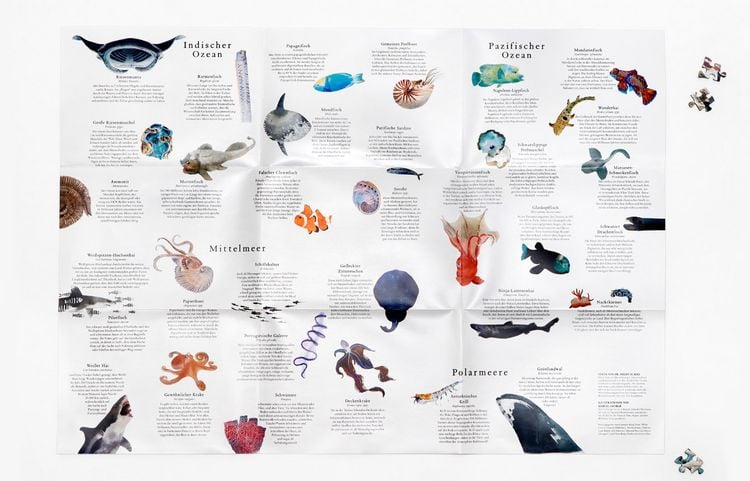 Produktbild: In 50 Meerestieren um die Welt