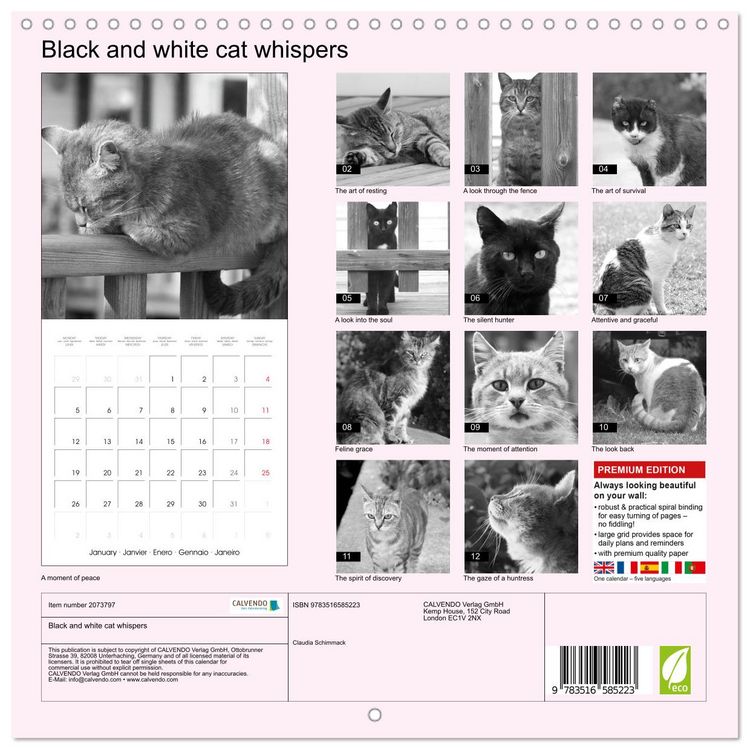 Produktbild: Black and white cat whispers (Wall Calendar 2026 12 &times; 12 Inch) CALVENDO 12 Month Wall Calendar