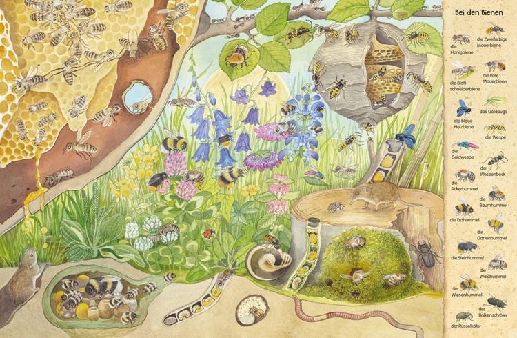 Produktbild: Mein erstes Wimmelbuch: Krabbeltiere in Feld, Wald und Wiese