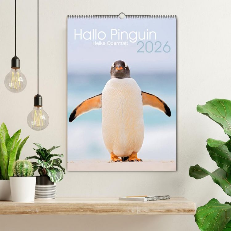 Produktbild: Hallo Pinguin (Wandkalender 2026 DIN A2 hoch), CALVENDO Monatskalender