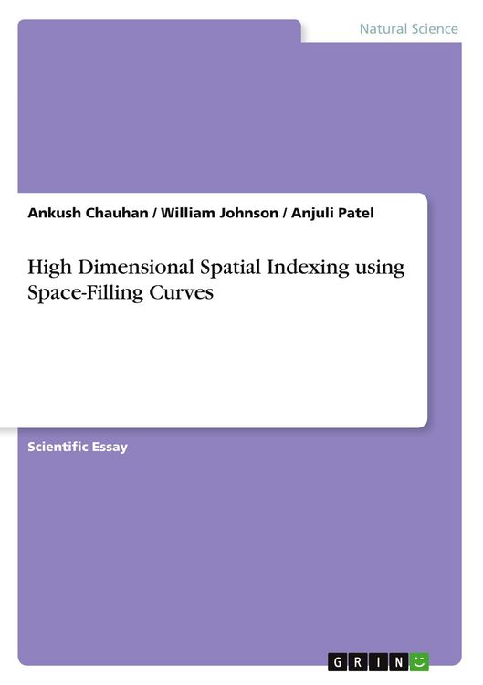 Produktbild: High Dimensional Spatial Indexing using Space-Filling Curves