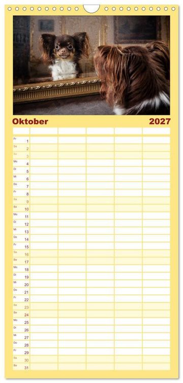 Produktbild: Familienplaner 2027 - Chihuahuas - Cool and Cute mit 5 Spalten (Wandkalender, 21 x 45 cm) CALVENDO