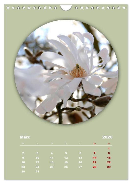 Produktbild: Rundherum Natur (Wandkalender 2026 DIN A4 hoch), CALVENDO Monatskalender
