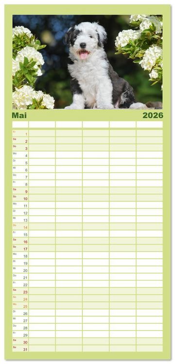 Produktbild: Familienplaner 2026 - In der Kinderstube bei Familie Bobtail mit 5 Spalten (Wandkalender, 21 x 45 cm) CALVENDO