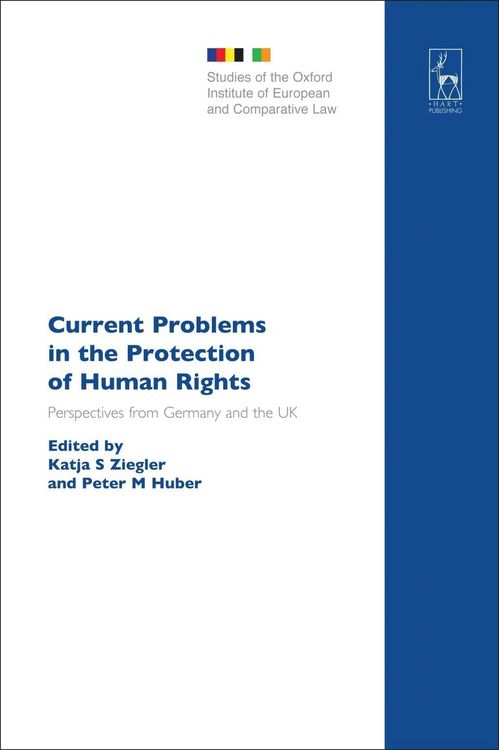 Produktbild: Current Problems in the Protection of Human Rights