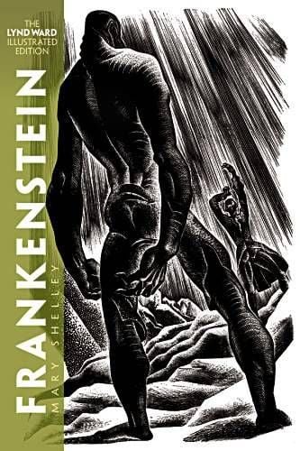 Produktbild: Frankenstein