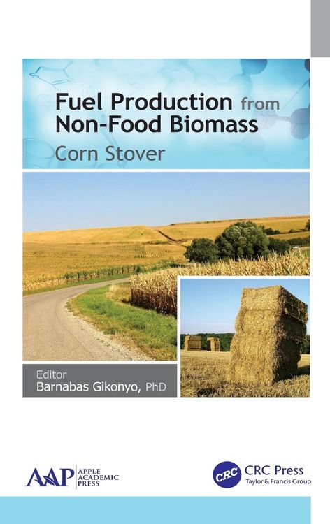 Produktbild: Fuel Production from Non-Food Biomass
