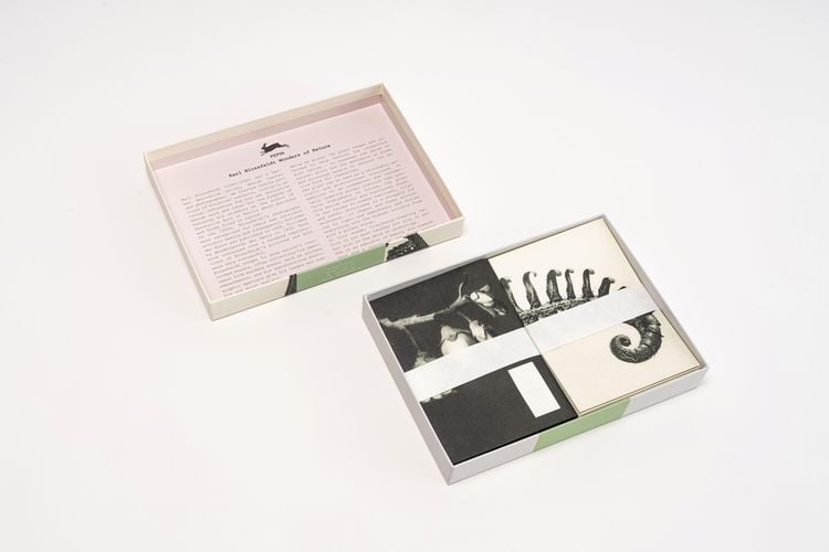 Produktbild: Wonders of Nature (Blossfeldt)