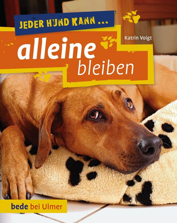 Produktbild: Jeder Hund kann alleine bleiben