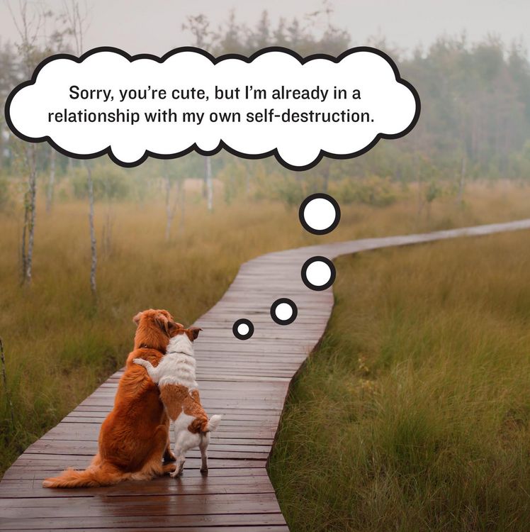 Produktbild: Bandara, P: Existential Dogs