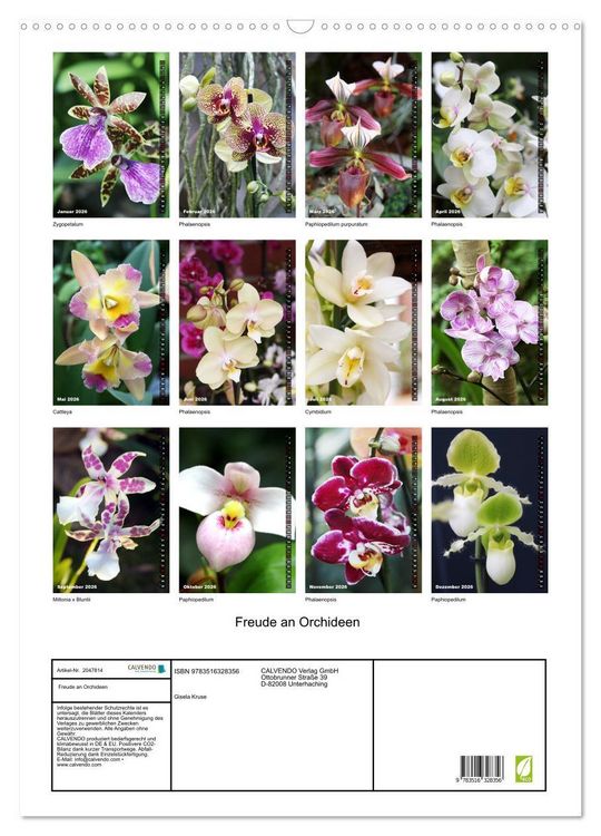Produktbild: Freude an Orchideen (Wandkalender 2026 DIN A2 hoch), CALVENDO Monatskalender