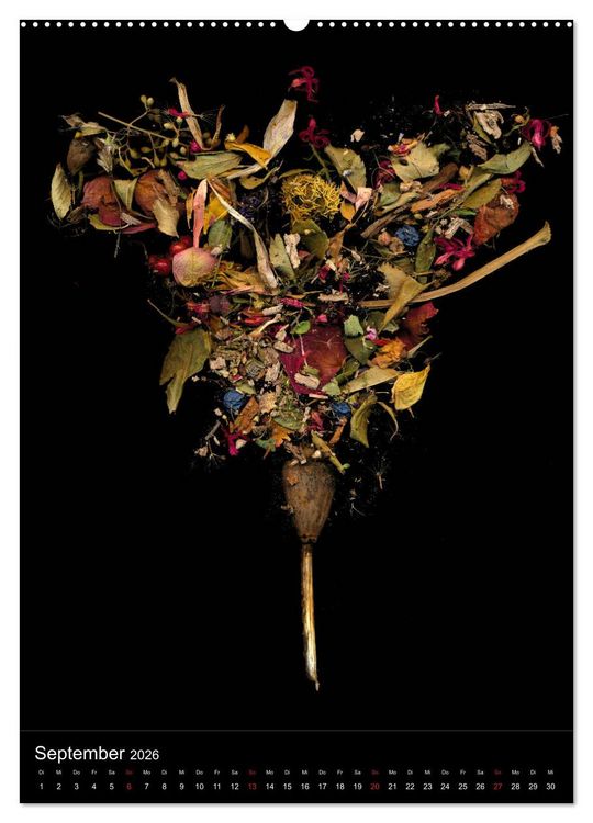 Produktbild: Blumen bei Nacht (hochwertiger Premium Wandkalender 2026 DIN A2 hoch), Kunstdruck in Hochglanz