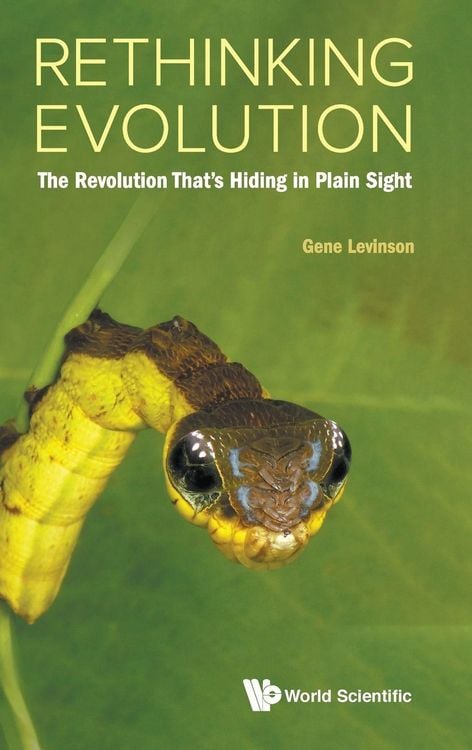 Produktbild: RETHINKING EVOLUTION