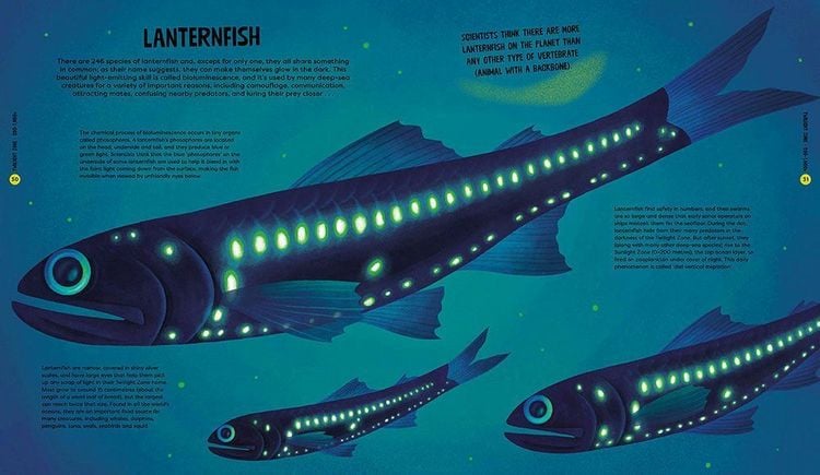 Produktbild: University of Cambridge: Beasts from the Deep