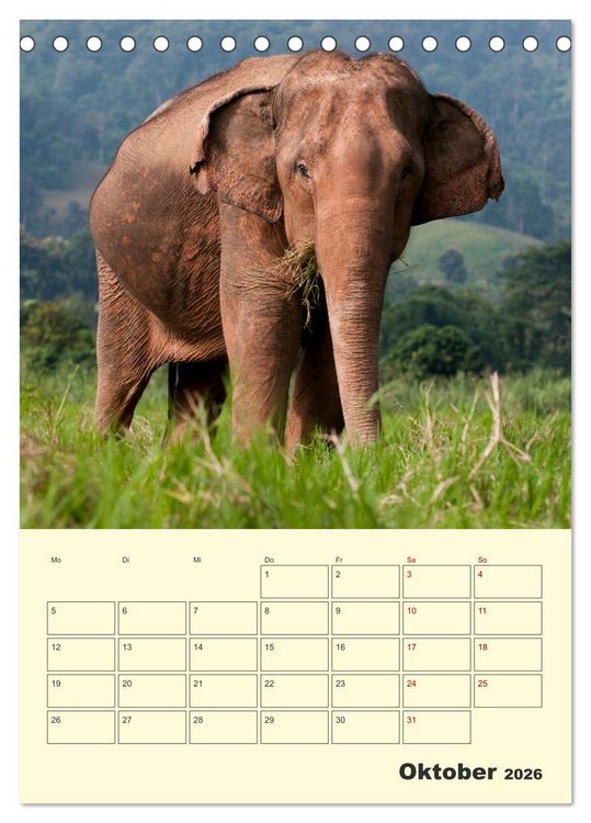 Produktbild: ELEFANTEN - Asiens graue Riesen (Tischkalender 2026 DIN A5 hoch), CALVENDO Monatskalender