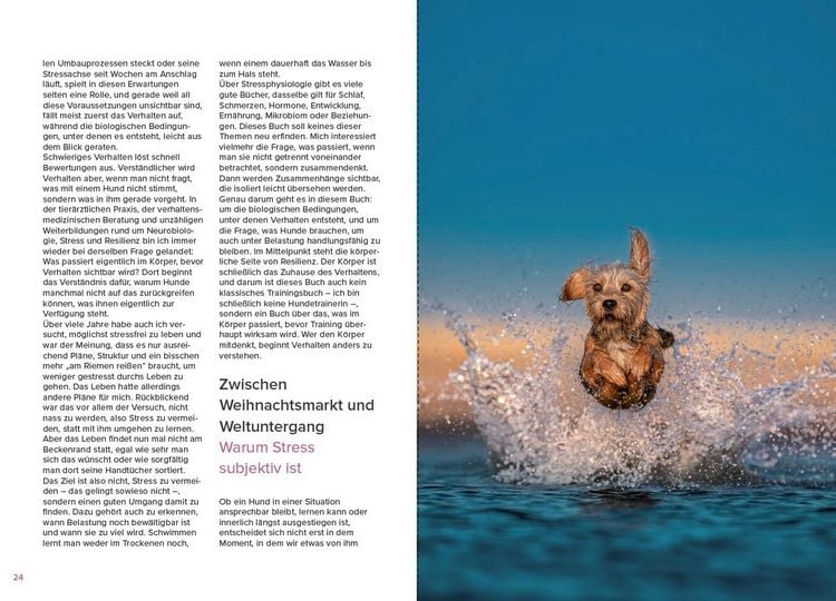 Produktbild: Stress beim Hund verstehen