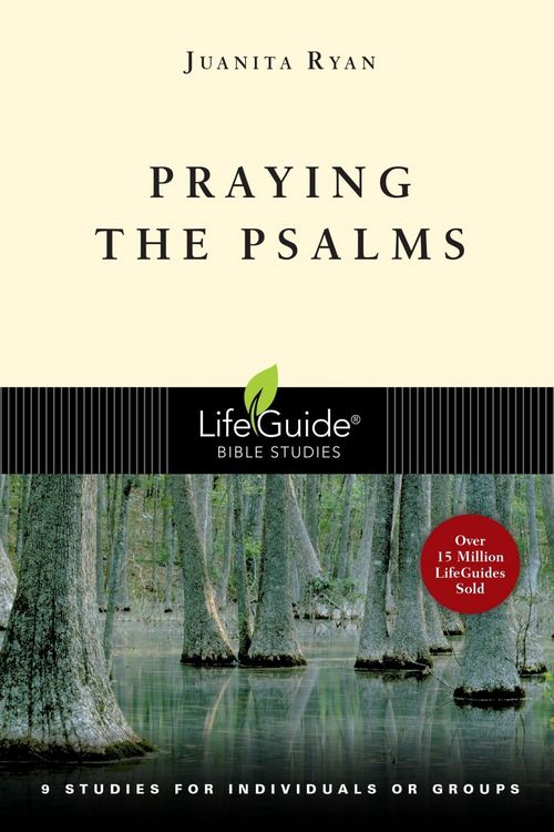 Produktbild: Praying the Psalms