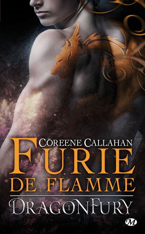 Produktbild: Dragonfury, t1 : furie de flamme