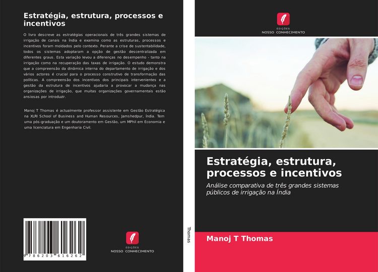 Produktbild: Estrat&eacute;gia, estrutura, processos e incentivos