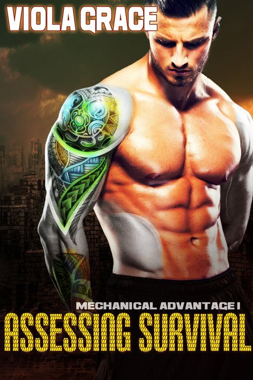 Produktbild: Assessing Survival (Mechanical Advantage, #1)