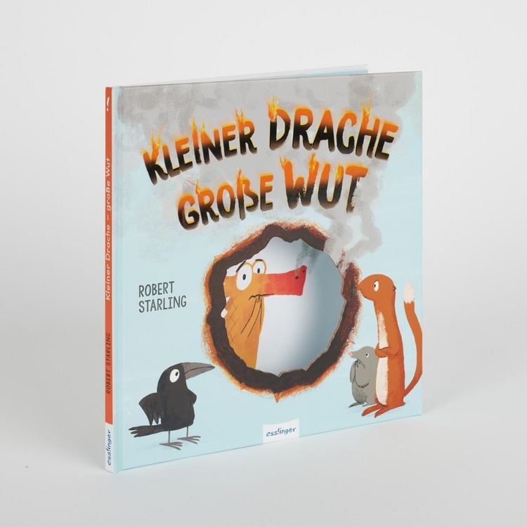 Produktbild: Kleiner Drache Finn: Kleiner Drache &ndash; gro&szlig;e Wut