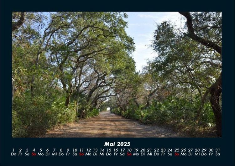 Produktbild: B&auml;ume 2025 Fotokalender DIN A4