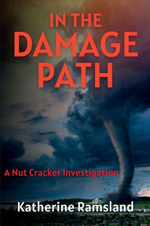 Produktbild: In the Damage Path