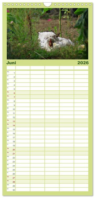 Produktbild: Familienplaner 2026 - Welt der Tiere mit 5 Spalten (Wandkalender, 21 x 45 cm) CALVENDO
