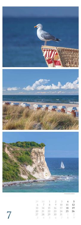 Strandgeflüster - Momente am Meer 2026 - Streifenkalender XXL 25x69 cm - Bildkalender im Hochformat - Wandkalender - Wandplaner - Strandkalender - Deu