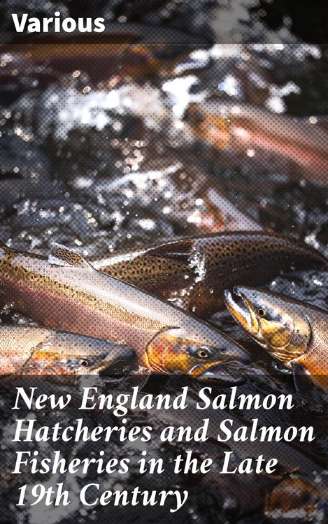 Produktbild: New England Salmon Hatcheries and Salmon Fisheries in the Late 19th Century