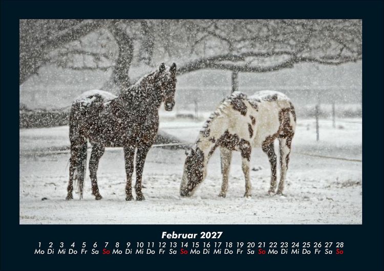 Produktbild: Die Welt der Pferde 2027 Fotokalender DIN A4