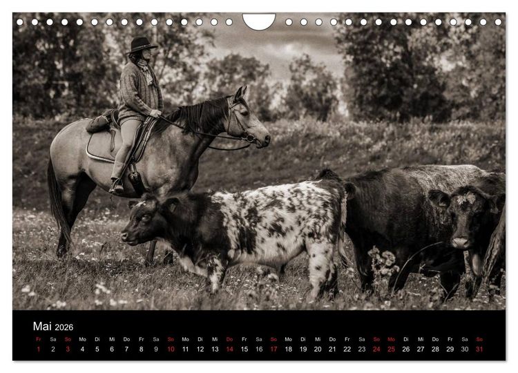 Produktbild: Westernreiten (Wandkalender 2026 DIN A4 quer), CALVENDO Monatskalender