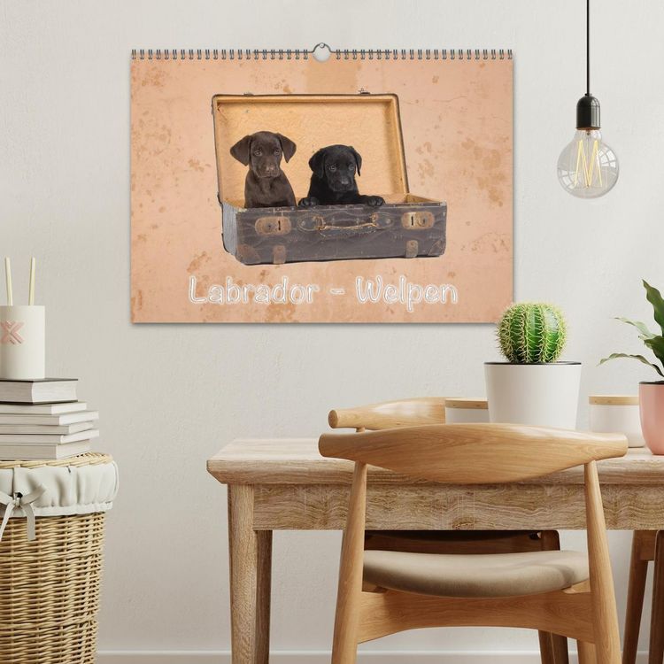 Produktbild: Labrador - Welpen (Wandkalender 2026 DIN A3 quer), CALVENDO Monatskalender