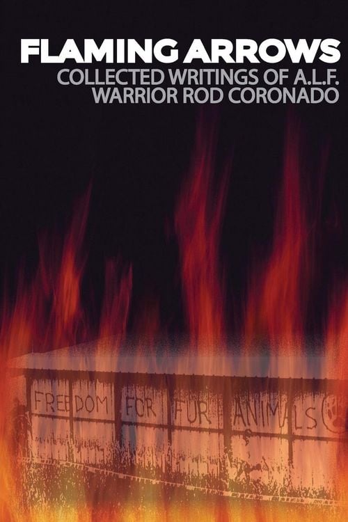 Produktbild: Flaming Arrows