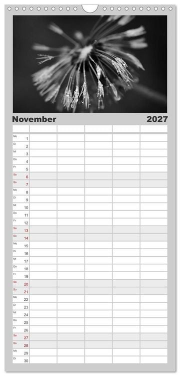 Produktbild: Familienplaner 2027 - Pusteblume - Impressionen in schwarzwei&szlig; mit 5 Spalten (Wandkalender, 21 x 45 cm) CALVENDO