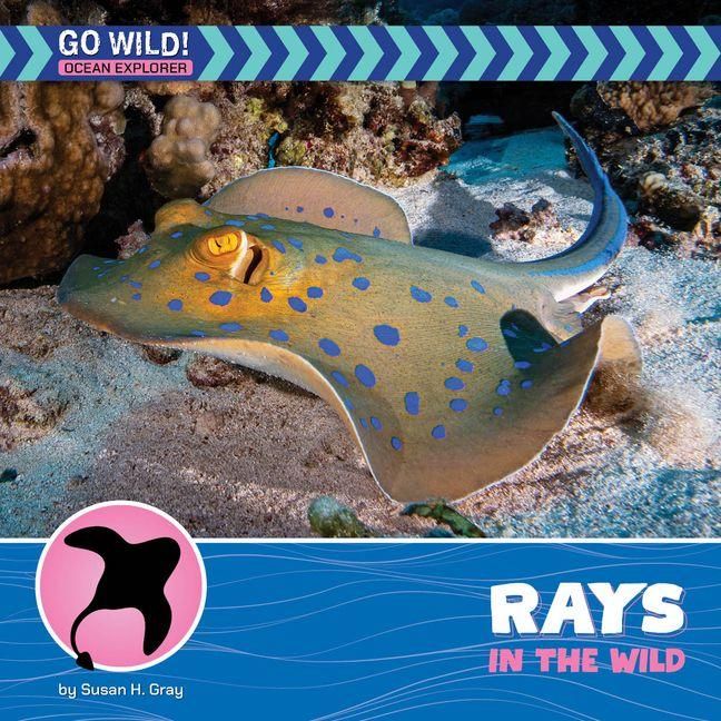 Produktbild: Rays in the Wild