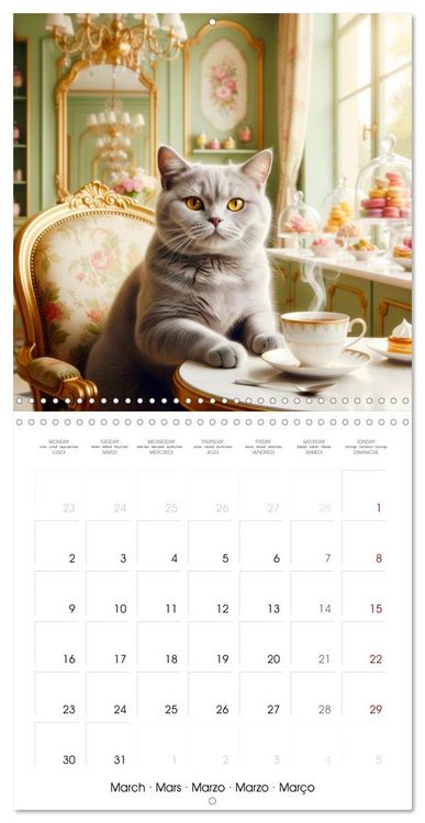 Produktbild: Le duc gris en voyage (Calendrier mural carr&eacute; 2026 30x30 cm) Calendrier double avec une page pour vos prises de notes