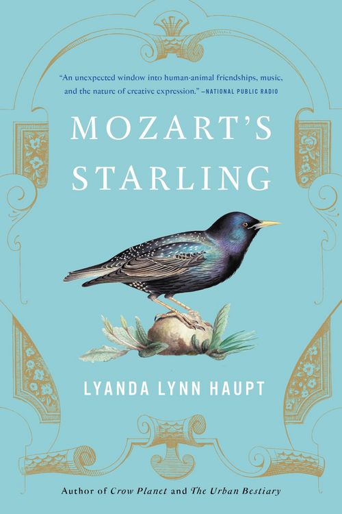 Produktbild: Mozart's Starling