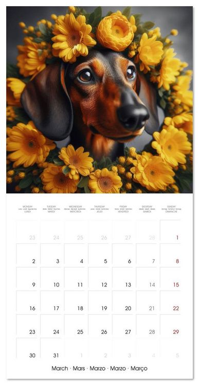 Produktbild: Dachshund Joy and Flower Beauty (Wall Calendar 2026 12 &times; 12 Inch) CALVENDO 12 Month Wall Calendar