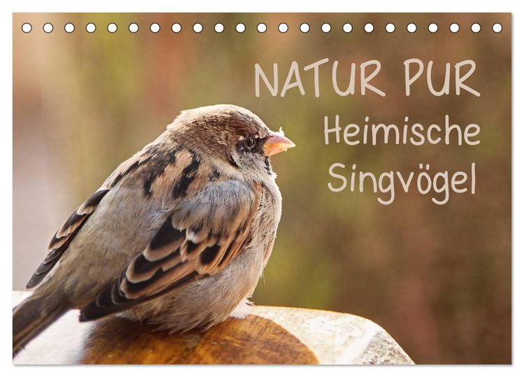 Produktbild: NATUR PUR Heimische Singv&ouml;gel (Tischkalender 2026 DIN A5 quer), CALVENDO Monatskalender