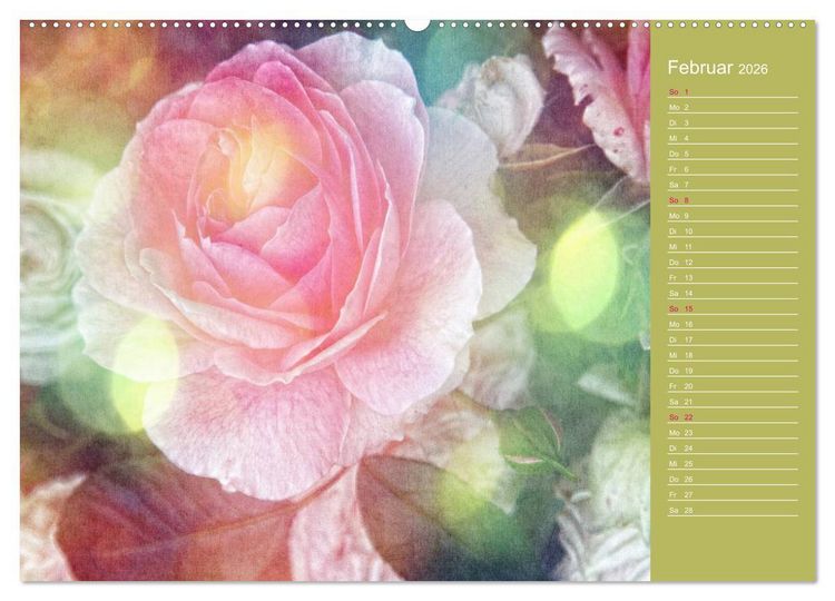 Produktbild: Romantische Rosen (Wandkalender 2026 DIN A2 quer), CALVENDO Monatskalender