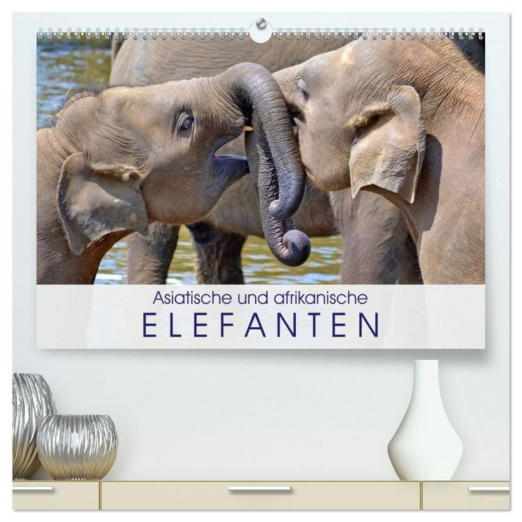 Produktbild: Asiatische und afrikanische Elefanten (hochwertiger Premium Wandkalender 2026 DIN A2 quer), Kunstdruck in Hochglanz