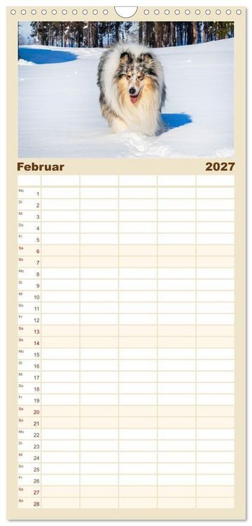 Produktbild: Familienplaner 2027 - Faszinierende Rough Collies mit 5 Spalten (Wandkalender, 21 x 45 cm) CALVENDO