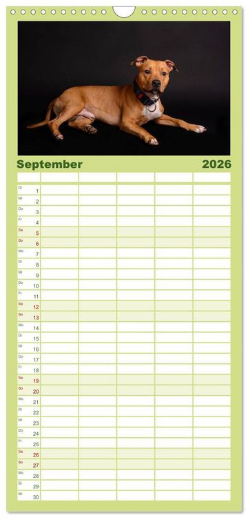 Produktbild: Familienplaner 2026 - American Staff und Co. mit 5 Spalten (Wandkalender, 21 x 45 cm) CALVENDO