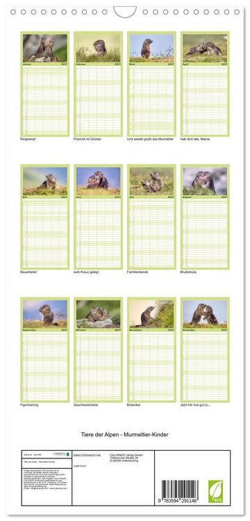 Produktbild: Familienplaner 2027 - Tiere der Alpen - Murmeltier-Kinder mit 5 Spalten (Wandkalender, 21 x 45 cm) CALVENDO